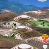 dinhvu6786