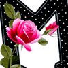 user0966013452