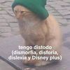 perro_tiktokmeme