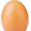 eggyeggz51