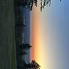 taylorlawson38