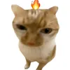 plpluto