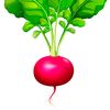 redis_47