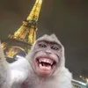 lagroczytajlegrooo