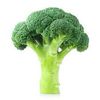 broccoli_boy125