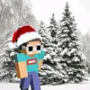 ihtsyl