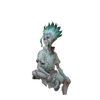 senku...ishigami