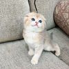 emadalghamdi316