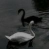 hcwgbtbf_28