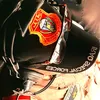 fe.lion84