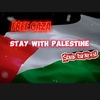 palestine_mettobesafe2