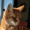 notzozo__