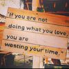 suculentendeavours
