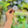 প্রকৃতির মায়া ☁️🌸