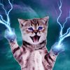 catlover420trillion