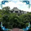 nguyenthanhhong37