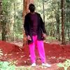 alexykitro