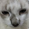 face_reavel01