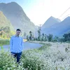 hoaroicuaphat_6789