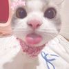 n_me1.3