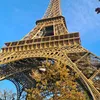 rom_511