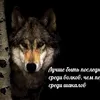 dmitri..84