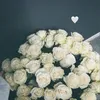 003_sayya