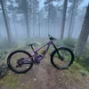 fergus_911