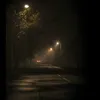 straleaep