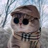 fat.cat27