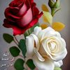 aslamsahab786