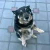 sergeygud