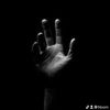 noom252712