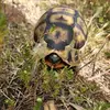 deathcap15873