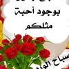 hassanttyyvv