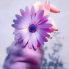 hanan.ahmed300