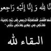 mohsenalsharqawi0