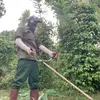 bibofarm93