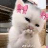 kikyyyooooo