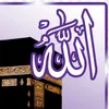 Roxy Mahmood