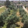 bashiralloush0