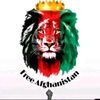 yaldaomidd