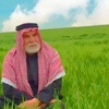 ahmedalshayyababuamir