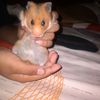 cinthia._05