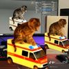 jarlings_