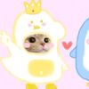 zah_r44wr