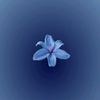abigail_1112135