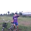 bor.t84