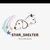 star.shelter5