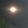 .bluemoon4